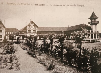 La roseraie du haras de Blingel